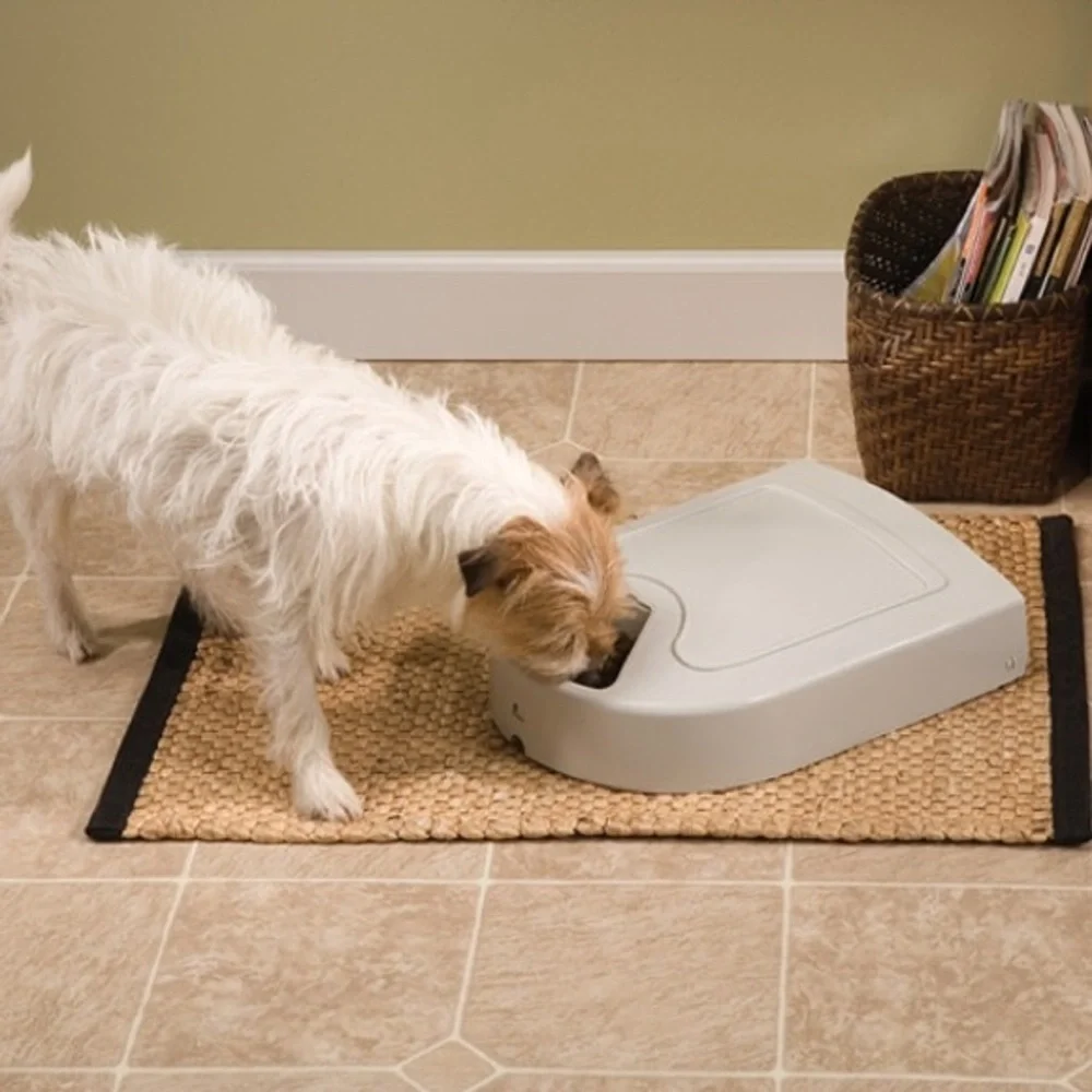 PetSafe 5 Meal Automatic Programmable Pet Feeder Dispenser Cats Dogs Small Pets